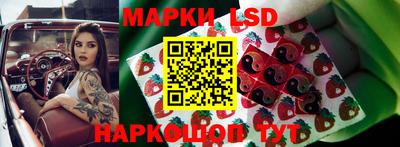 jwh Будённовск